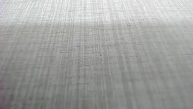 Snapshot of AishaRouhi chatting on March 4, 5:13 am AishaRouhi online show from March 4, 5:13 am