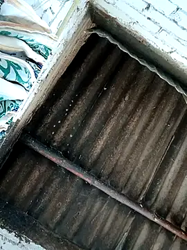 Lukas strong online show from October 7, 6:38 pm