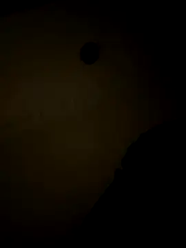 sluttydylan online show from December 17, 9:04 am