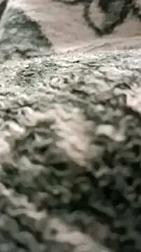 Snapshot of sokrates13 chatting on January 11, 7:38 pm sokrates13 online show from January 11, 7:38 pm