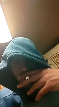 Rejtelmesest online show from January 20, 3:15 am