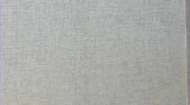 Snapshot of Ricardogo19 chatting on March 22, 2:37 am Ricardogo19 online show from March 22, 2:37 am