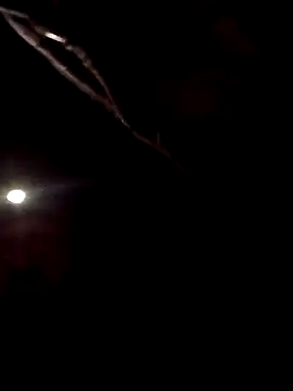 SInfiniSensation1 online show from April 23, 10:01 pm