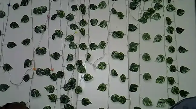 sexybree  online show from January 23, 5:10 pm