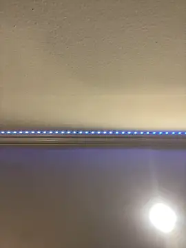 Snapshot of ThicBunz chatting on March 16, 9:58 pm ThicBunz online show from March 16, 9:58 pm