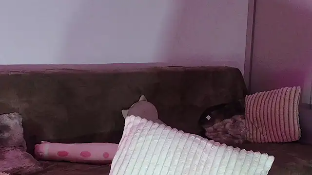 Eva Millar online show from February 21, 8:26 am