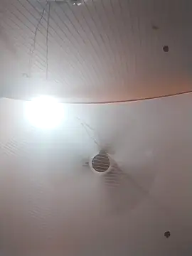 Nzfl97 online show from March 30, 4:52 pm