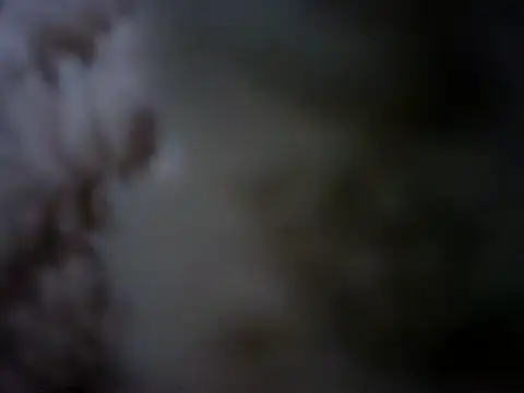 Snapshot of 07YUKIO chatting on January 24, 10:08 pm 07YUKIO online show from January 24, 10:08 pm