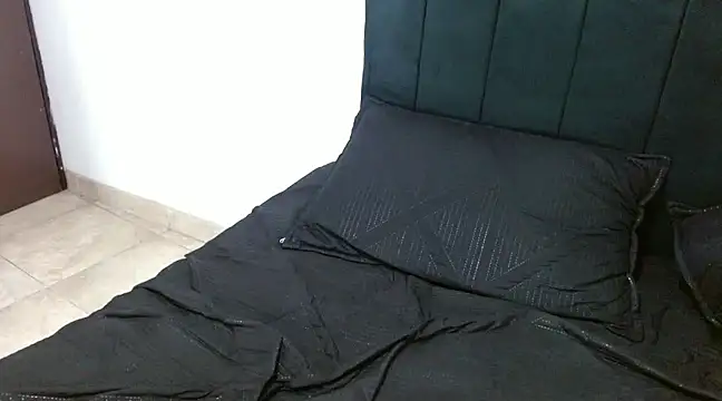 Snapshot of Hendry_ chatting on December 6, 7:43 am Hendry online show from December 6, 7:43 am