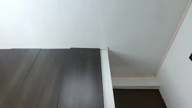 Snapshot of Hendry_ chatting on January 13, 2:50 am Hendry online show from January 13, 2:50 am