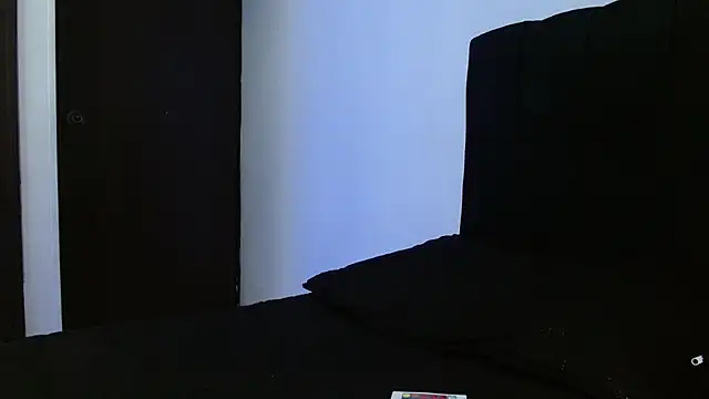 Snapshot of Hendry_ chatting on March 21, 4:17 am Hendry online show from March 21, 4:17 am