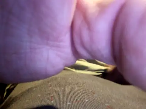 stavroun online show from December 23, 4:10 am