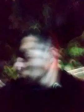 mis312 online show from March 4, 1:45 am