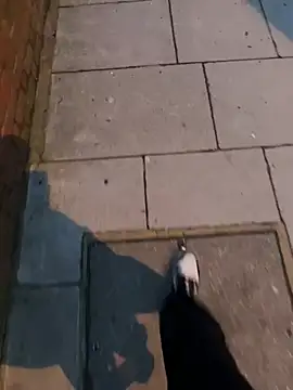 Snapshot of XMenX24 chatting on March 22, 6:36 pm XMenX24 online show from March 22, 6:36 pm