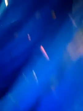 Snapshot of sneha_rose chatting on September 8, 5:12 pm sneha rose online show from September 8, 5:12 pm