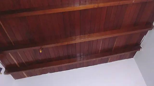 Amara Red online show from September 13, 3:01 pm