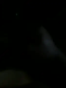 Josevictor650 online show from June 16, 7:33 am