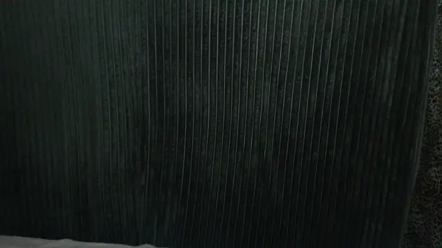 Snapshot of 1BECHA1 chatting on December 3, 7:49 am 1BECHA1 online show from December 3, 7:49 am