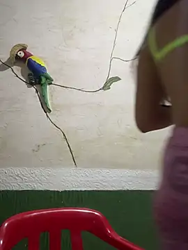 Snapshot of Karla-sexy01 chatting on January 4, 3:07 am Karla-sexy01 online show from January 4, 3:07 am