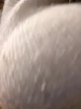 Snapshot of Giuliana_baby chatting on March 10, 9:21 am Giuliana baby online show from March 10, 9:21 am