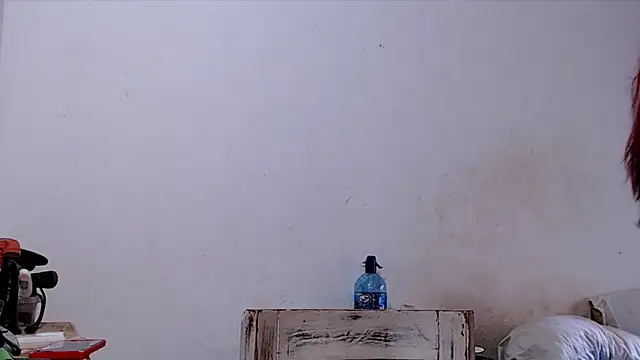 SusiDream online show from March 14, 8:58 pm