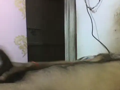 Snapshot of Desi_GfBf chatting on March 3, 5:50 pm Desi GfBf online show from March 3, 5:50 pm