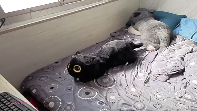 Big19Asia online show from September 18, 1:18 am