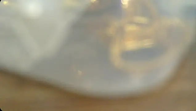 Rashisharma online show from October 14, 12:06 pm