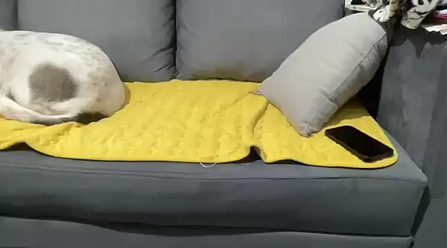 4small4inchlol online show from January 28, 10:12 pm