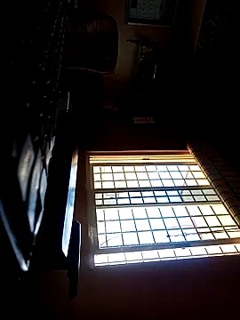 daddy indian online show from March 20, 7:14 am