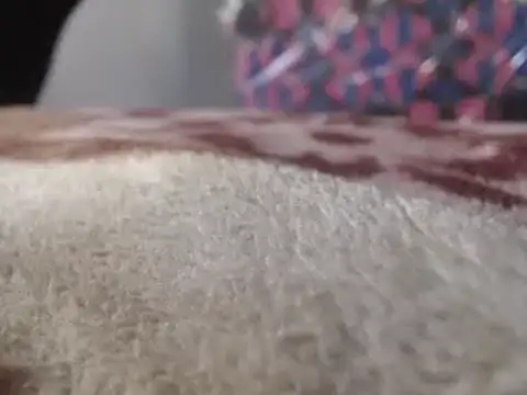 hoittytoittyxx online show from March 3, 3:20 pm