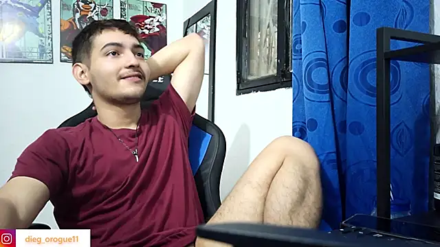 Snapshot of DiegoRogue_ chatting on February 8, 8:53 pm DiegoRogue online show from February 8, 8:53 pm