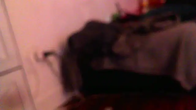 Snapshot of trippyz234 chatting on May 27, 1:02 am trippyz234 online show from May 27, 1:02 am