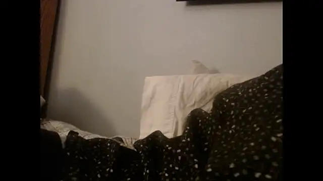 Snapshot of VanceFontaine chatting on October 27, 11:25 am VanceFontaine online show from October 27, 11:25 am