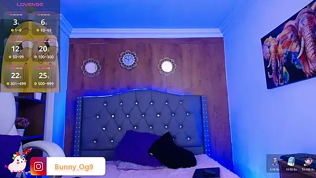 Bunny O online show from March 4, 11:22 pm