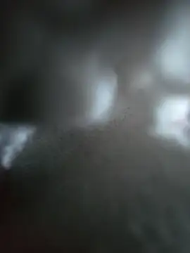 hungarian dick online show from October 19, 10:38 am