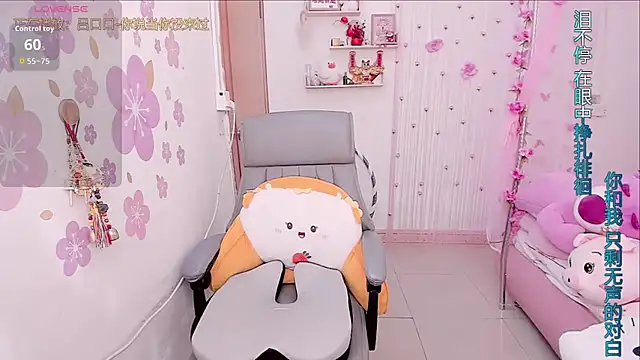 Stylec66 online show from January 14, 3:34 am