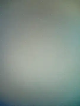 bustybillies online show from January 17, 5:16 pm