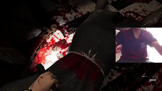 Dreamdaze2025 online show from April 13, 5:46 am