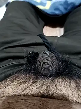 Snapshot of punjabimunda28 chatting on January 27, 4:52 am punjabimunda28 online show from January 27, 4:52 am