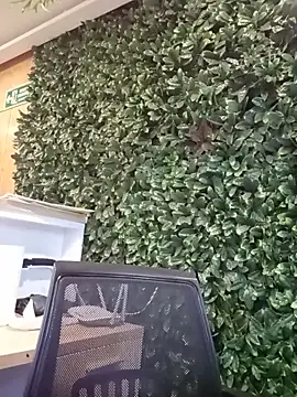   JaviJavi online show from March 15, 11:11 pm