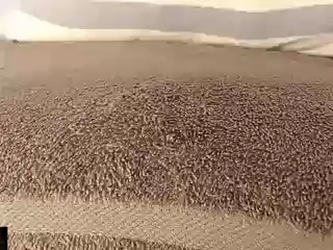 Snapshot of mikellwilliams10 chatting on March 11, 8:53 pm mikellwilliams10 online show from March 11, 8:53 pm