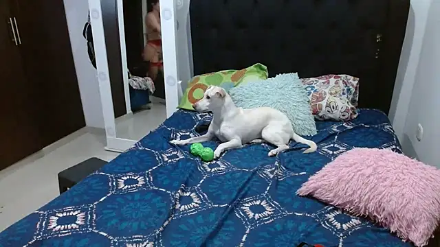 Snapshot of amazonafit_ chatting on February 15, 4:14 am amazonafit online show from February 15, 4:14 am