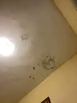 tobiramalapara online show from December 16, 2:22 pm