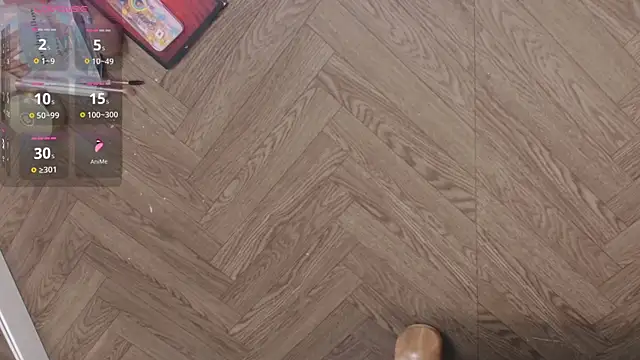 Lana-Gross online show from January 22, 1:32 pm