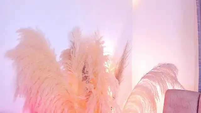 Snapshot of amelie_murphy_ chatting on December 15, 2:52 am amelie murphy online show from December 15, 2:52 am