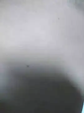 QcMisterv13 online show from July 31, 10:14 am