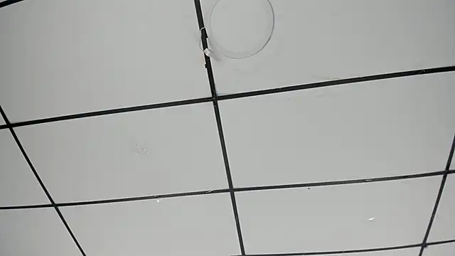 Sophia Lemos online show from October 18, 1:45 pm