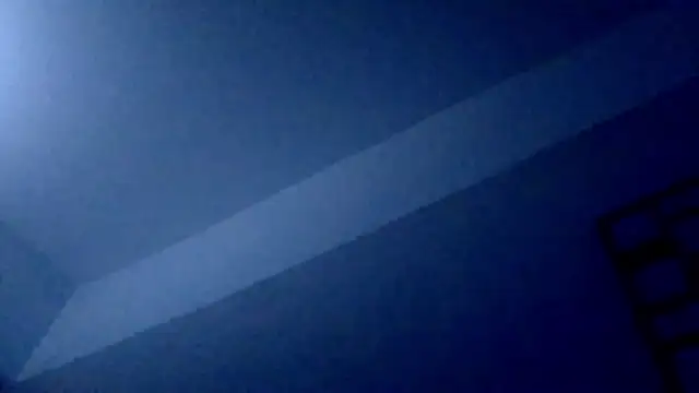 DreamTeamX online show from November 29, 1:14 pm