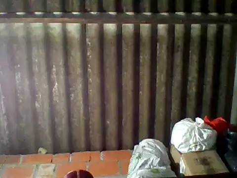 dafne19  online show from February 16, 9:37 am